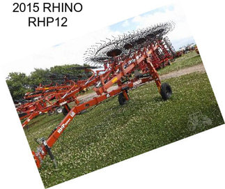 2015 RHINO RHP12