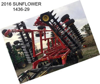 2016 SUNFLOWER 1436-29