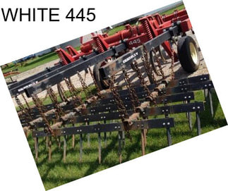 WHITE 445