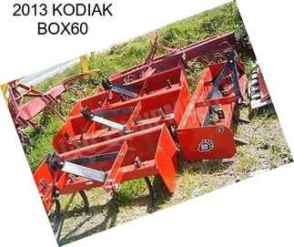 2013 KODIAK BOX60