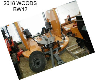 2018 WOODS BW12