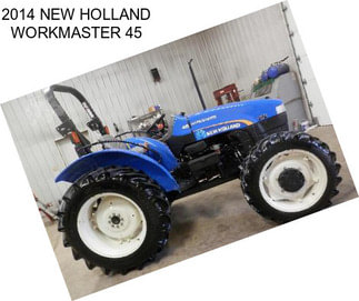 2014 NEW HOLLAND WORKMASTER 45