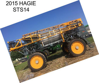 2015 HAGIE STS14