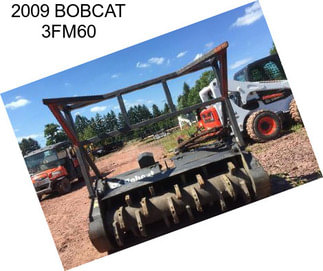 2009 BOBCAT 3FM60