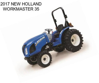 2017 NEW HOLLAND WORKMASTER 35