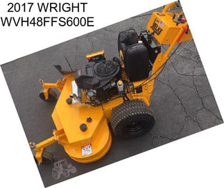 2017 WRIGHT WVH48FFS600E