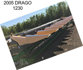 2005 DRAGO 1230