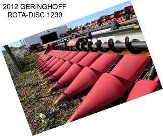 2012 GERINGHOFF ROTA-DISC 1230