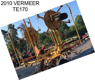 2010 VERMEER TE170