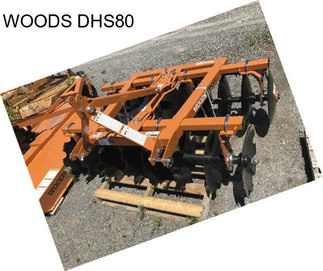 WOODS DHS80