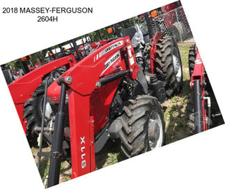 2018 MASSEY-FERGUSON 2604H