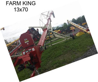 FARM KING 13x70