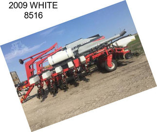 2009 WHITE 8516