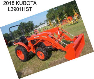 2018 KUBOTA L3901HST