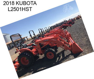 2018 KUBOTA L2501HST