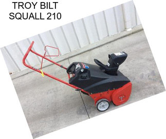 TROY BILT SQUALL 210