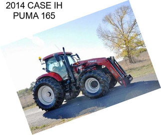 2014 CASE IH PUMA 165