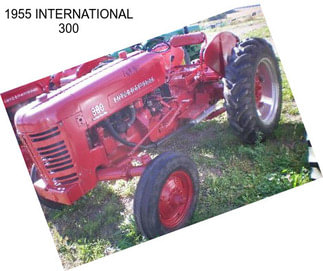 1955 INTERNATIONAL 300