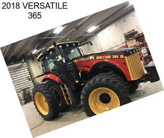 2018 VERSATILE 365