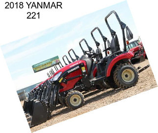 2018 YANMAR 221