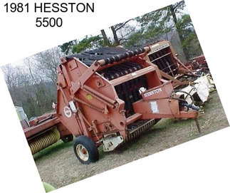 1981 HESSTON 5500