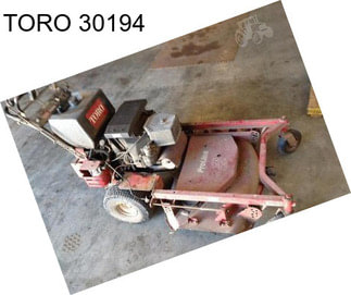 TORO 30194