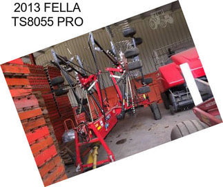 2013 FELLA TS8055 PRO