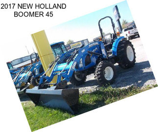 2017 NEW HOLLAND BOOMER 45