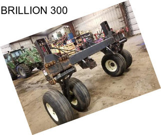 BRILLION 300