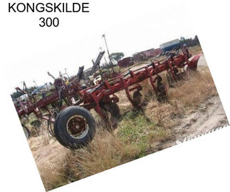 KONGSKILDE 300