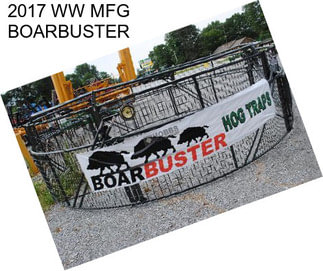 2017 WW MFG BOARBUSTER