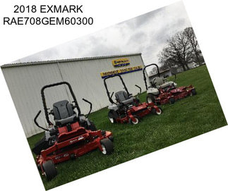 2018 EXMARK RAE708GEM60300