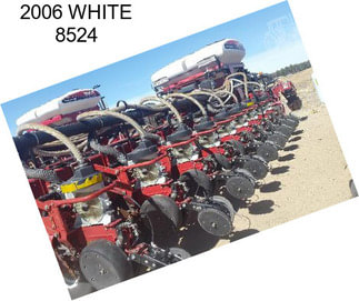 2006 WHITE 8524