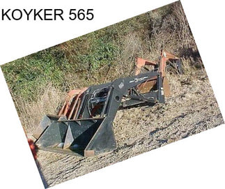 KOYKER 565