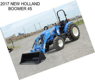 2017 NEW HOLLAND BOOMER 45