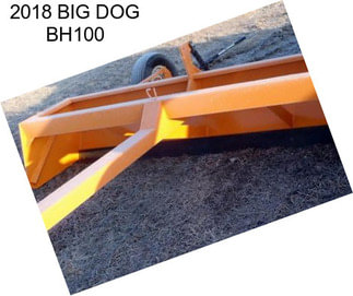 2018 BIG DOG BH100