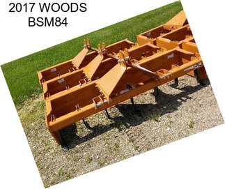 2017 WOODS BSM84