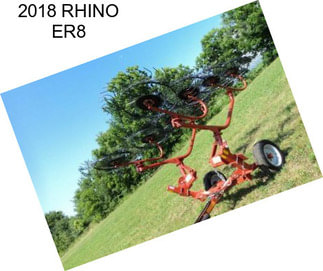 2018 RHINO ER8