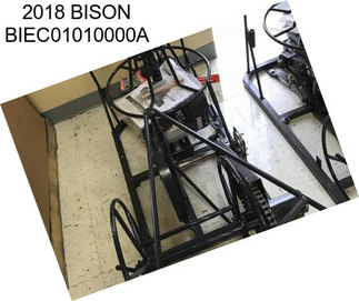 2018 BISON BIEC01010000A