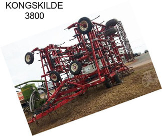 KONGSKILDE 3800