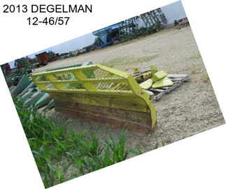 2013 DEGELMAN 12-46/57