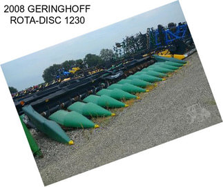 2008 GERINGHOFF ROTA-DISC 1230