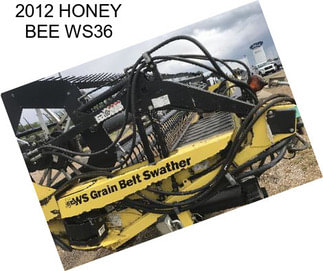 2012 HONEY BEE WS36