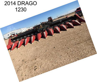 2014 DRAGO 1230