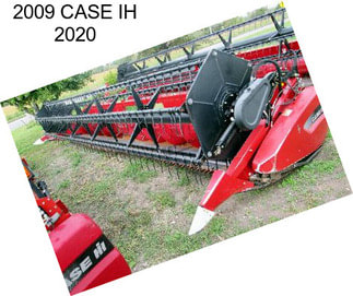 2009 CASE IH 2020