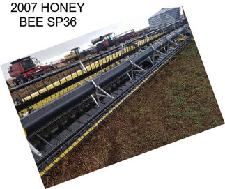 2007 HONEY BEE SP36