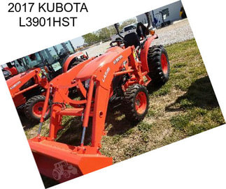 2017 KUBOTA L3901HST