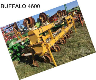 BUFFALO 4600