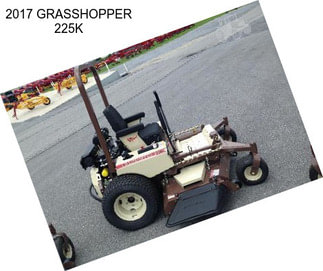 2017 GRASSHOPPER 225K