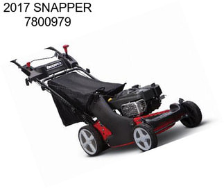 2017 SNAPPER 7800979